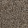 Mohawk Carpet: Soft Intrigue I Slate Tile